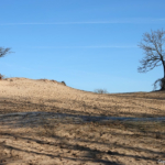 In de Amsterdamse Waterleidingduinen op 8 februari 2023 / Copyright © JTravel.nl In de Amsterdamse Waterleidingduinen op 8 februari 2023 / Copyright © JTravel.nl