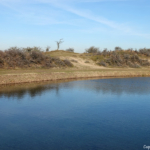 De Amsterdamse Waterleidingduinen op 8 februari 2023 / Copyright © JTravel.nl De Amsterdamse Waterleidingduinen op 8 februari 2023 / Copyright © JTravel.nl