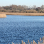 De Amsterdamse Waterleidingduinen op 8 februari 2023 / Copyright © JTravel.nl De Amsterdamse Waterleidingduinen op 8 februari 2023 / Copyright © JTravel.nl