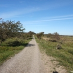 In de Amsterdamse Waterleidingduinen op 17 oktober 2023 / Copyright JTravel.nl In de Amsterdamse Waterleidingduinen op 17 oktober 2023 / Copyright JTravel.nl