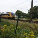 Het spoor bij psychiatrische inrichting Beileroord in Beilen tijdens de 28e etappe van het Westerborkpad / Copyright JTravel.nl Het spoor bij psychiatrische inrichting Beileroord in Beilen tijdens de 28e etappe van het Westerborkpad / Copyright JTravel.nl
