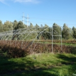 Boerenland tijdens mijn wandeling tussen Zwaanshoek en Hoofddorp / Copyright JTravel.nl Boerenland tijdens mijn wandeling tussen Zwaanshoek en Hoofddorp / Copyright JTravel.nl