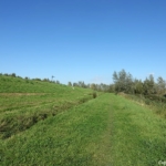 De Boseilanden in Zwaanshoek tijdens mijn wandeling tussen Zwaanshoek en Hoofddorp / Copyright JTravel.nl De Boseilanden in Zwaanshoek tijdens mijn wandeling tussen Zwaanshoek en Hoofddorp / Copyright JTravel.nl