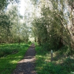 Een bospad tijdens mijn wandeling tussen Zwaanshoek en Hoofddorp / Copyright JTravel.nl Een bospad tijdens mijn wandeling tussen Zwaanshoek en Hoofddorp / Copyright JTravel.nl