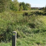 Tijdens mijn wandeling tussen Zwaanshoek en Hoofddorp / Copyright JTravel.nl Tijdens mijn wandeling tussen Zwaanshoek en Hoofddorp / Copyright JTravel.nl