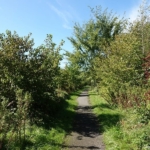 Een bospad tijdens mijn wandeling tussen Zwaanshoek en Hoofddorp / Copyright JTravel.nl Een bospad tijdens mijn wandeling tussen Zwaanshoek en Hoofddorp / Copyright JTravel.nl