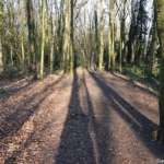 Landgoed Marquette in Heemskerk tijdens mijn wandeling rond de buitenplaatsen van Heemskerk Landgoed Marquette in Heemskerk tijdens mijn wandeling rond de buitenplaatsen van Heemskerk