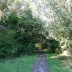 Een bospad tijdens mijn wandeling tussen Zwaanshoek en Hoofddorp / Copyright JTravel.nl Een bospad tijdens mijn wandeling tussen Zwaanshoek en Hoofddorp / Copyright JTravel.nl