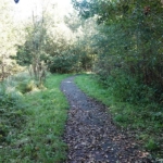 PARK21 tijdens mijn wandeling tussen Zwaanshoek en Hoofddorp / Copyright JTravel.nl PARK21 tijdens mijn wandeling tussen Zwaanshoek en Hoofddorp / Copyright JTravel.nl