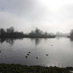 Buitengebied van Heemskerk tijdens mijn wandeling rond de buitenplaatsen van Heemskerk Buitengebied van Heemskerk tijdens mijn wandeling rond de buitenplaatsen van Heemskerk