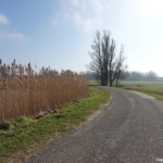 Landweggetje buiten Heemskerk tijdens mijn wandeling rond de buitenplaatsen van Heemskerk Landweggetje buiten Heemskerk tijdens mijn wandeling rond de buitenplaatsen van Heemskerk