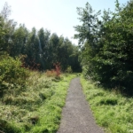 Wandelpad tijdens mijn wandeling tussen Zwaanshoek en Hoofddorp / Copyright JTravel.nl Wandelpad tijdens mijn wandeling tussen Zwaanshoek en Hoofddorp / Copyright JTravel.nl