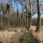 Pad op Landgoed Marquette in Heemskerk tijdens mijn wandeling rond de buitenplaatsen van Heemskerk Pad op Landgoed Marquette in Heemskerk tijdens mijn wandeling rond de buitenplaatsen van Heemskerk