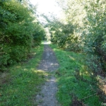 Wandelpad tijdens mijn wandeling tussen Zwaanshoek en Hoofddorp / Copyright JTravel.nl Wandelpad tijdens mijn wandeling tussen Zwaanshoek en Hoofddorp / Copyright JTravel.nl