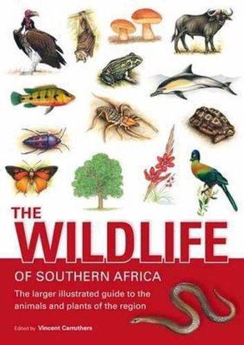 Bestel hier het boek The Wildlife of Southern Africa via Bol.com